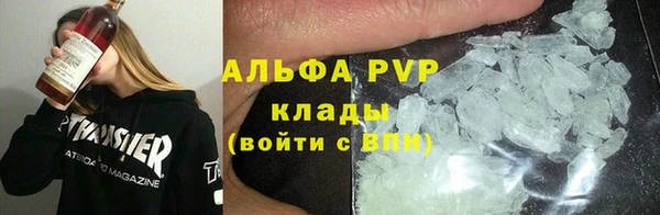 apvp Каменногорск
