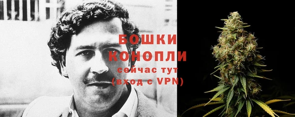 mdpv Иннополис