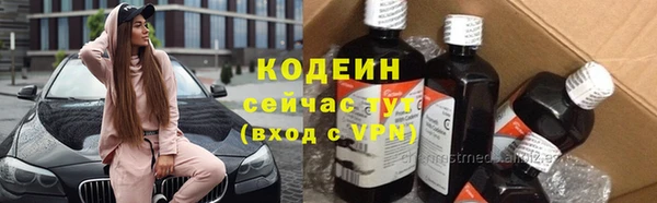 apvp Каменногорск